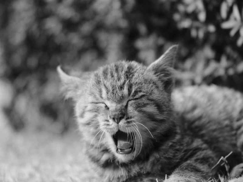 12 conseils pour bien dormir&nbsp;😴