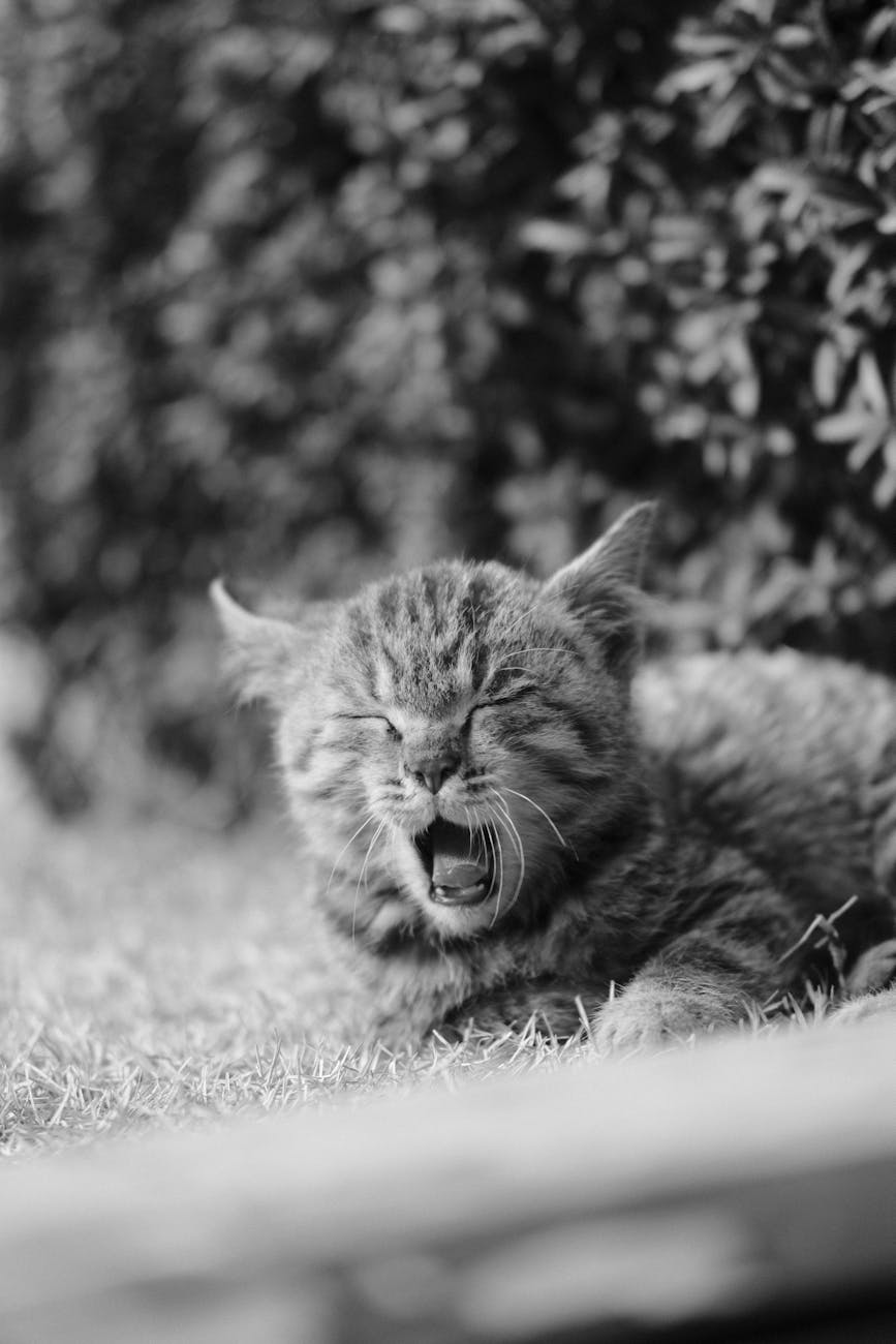 12 conseils pour bien dormir&nbsp;😴